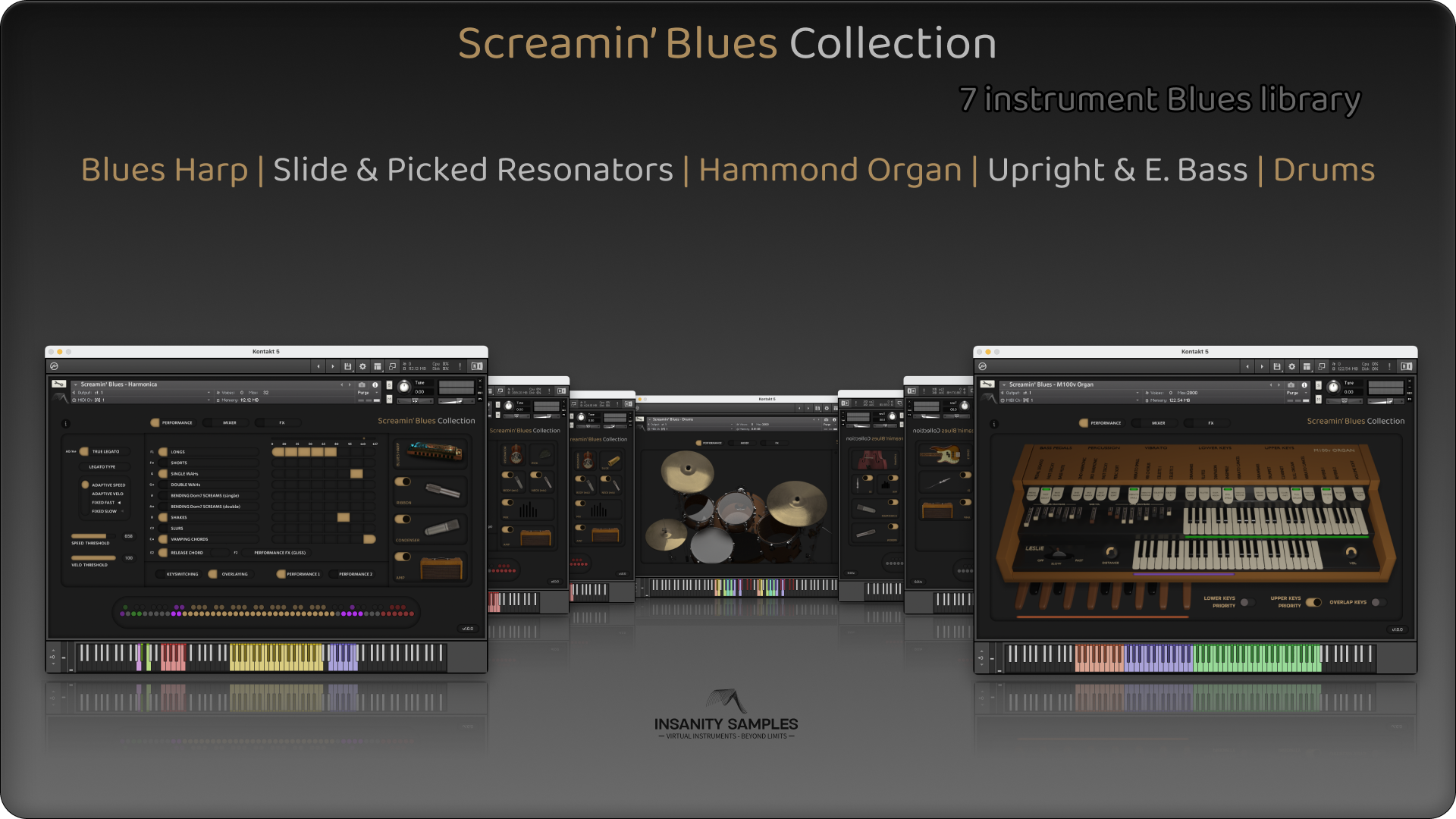 Screamin' Blues Collection – Insanity Samples