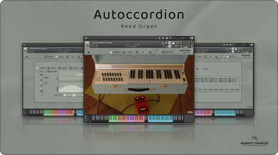Autoccordion - Reed Organ