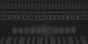 GYPSY SQUEEZEBOX - Characterful 120 Bass Accordion