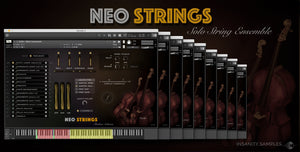 NEO STRINGS-独奏弦乐合奏